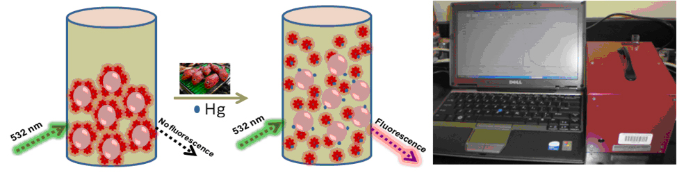 Illustration for Gold nanoparticle-based miniaturized NSET Probe